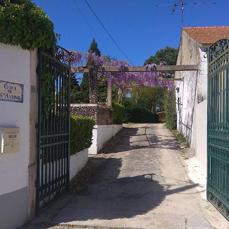 Гостевой дом Casa Dos Arrabidos Торриш-Новаш Экстерьер фото