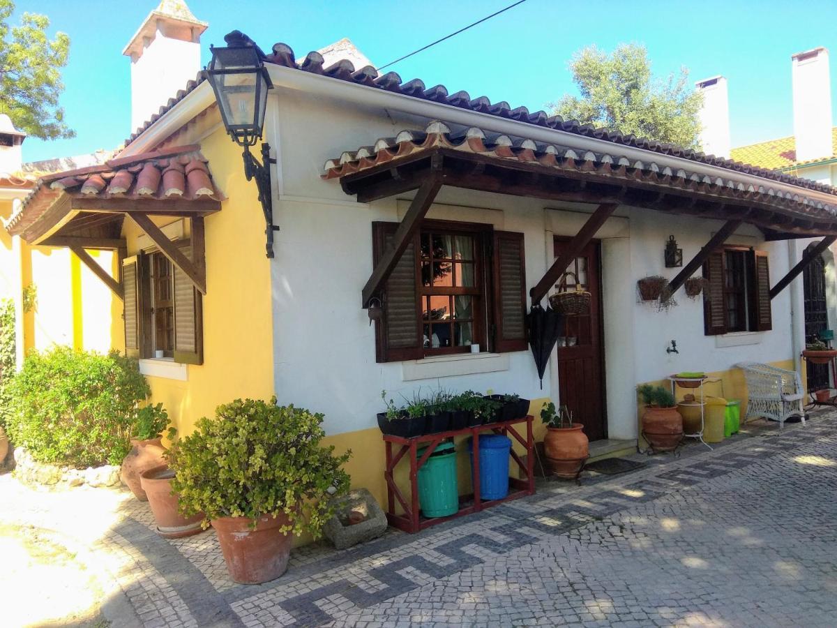 Гостевой дом Casa Dos Arrabidos Торриш-Новаш Экстерьер фото
